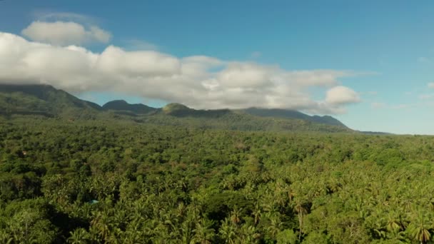 Montagne ricoperte di foresta pluviale, Filippine, Camiguin. — Video Stock