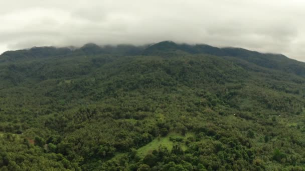 Dağlarla kaplı yağmur ormanları, Filipinler, Camiguin. — Stok video