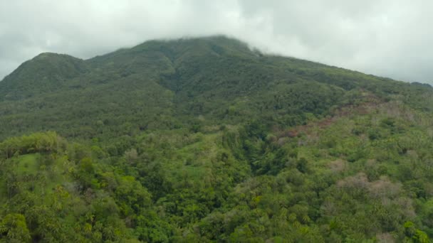 Горы, покрытые тропическими лесами, Филиппины, Камиген. — стоковое видео
