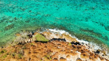 Göl kenarında turkuaz su yüzeyi