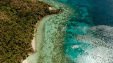 Kumlu plajlı tropik ada, Filipinler, Palawan