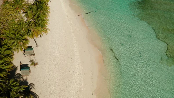 Torpical island with white sandy beach, top view. — Stock Photo, Image