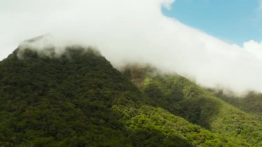 Dağlarla kaplı yağmur ormanları, Filipinler, Camiguin.