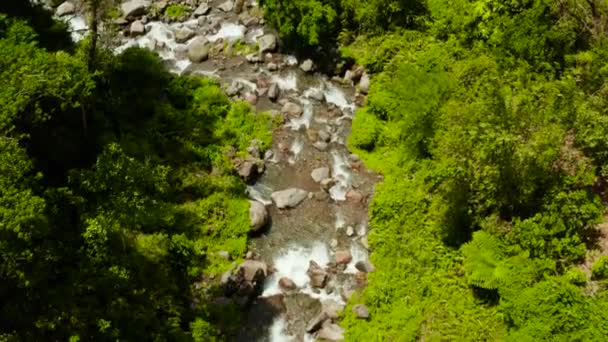 Rivier stroomt in de bergjungle, Filippijnen, Camiguin. — Stockvideo