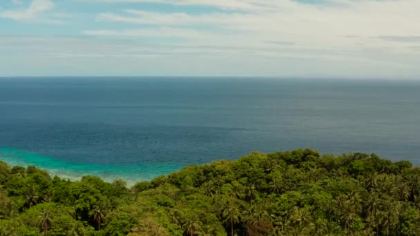 Paisagem com coqueiros e lagoa azul-turquesa — Vídeo de Stock