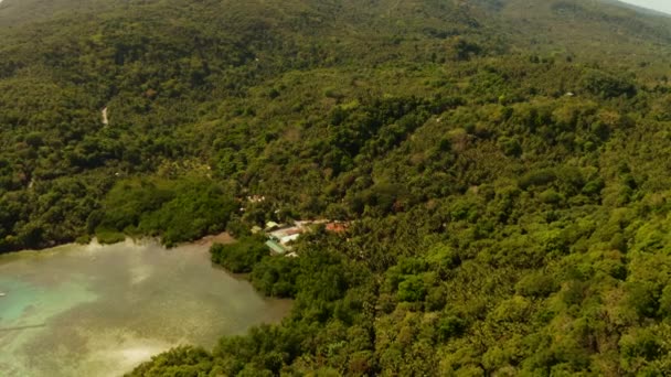 열 대 우림으로 뒤덮인 산들, 필리핀의 카미 갱. — 비디오