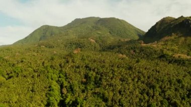 Dağlarla kaplı yağmur ormanları, Filipinler, Camiguin.