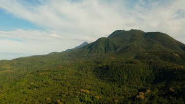 Dağlarla kaplı yağmur ormanları, Filipinler, Camiguin.
