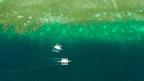 Coral reef with turquoise water, Moalboal, Philippines. — Stock Video