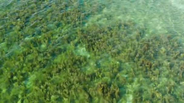 Tropisch landschap met blauwe zee en lagune — Stockvideo