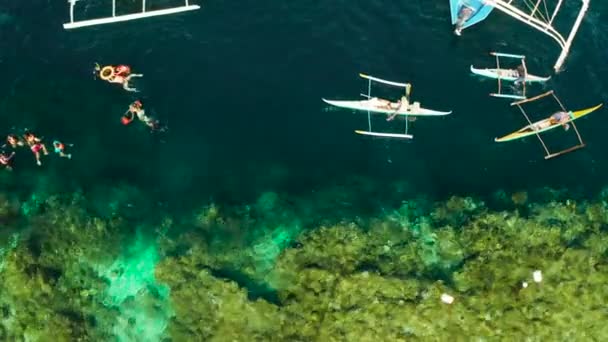 Mercan resiflerinde, Moalboal 'da, Filipinlerde şnorkelle yüzen turistler — Stok video