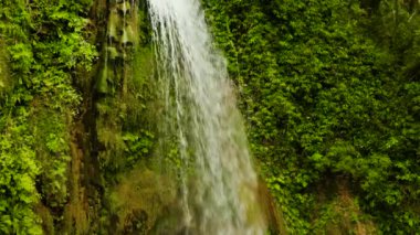 Güzel tropik şelale Filipinleri, Cebu