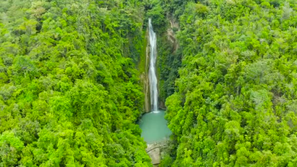 아름다운 열대 폭포 필리핀, 세부 — 비디오