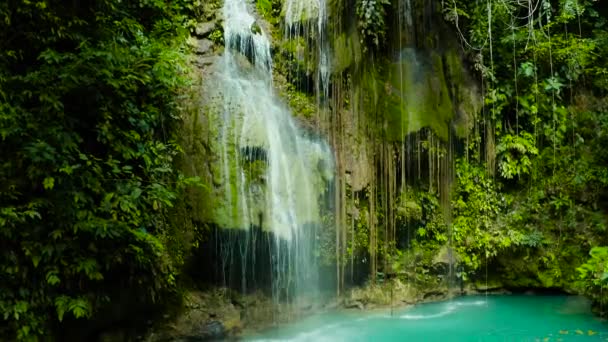 Prachtige tropische waterval Filippijnen, Cebu — Stockvideo