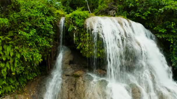 Belle cascade tropicale Philippines, Cebu — Video