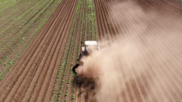 Agricultural machinery in the potato field cultivates the land — Stock Video