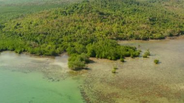 Tropik adanın kıyı şeridi. Balabac Adası, Palawan