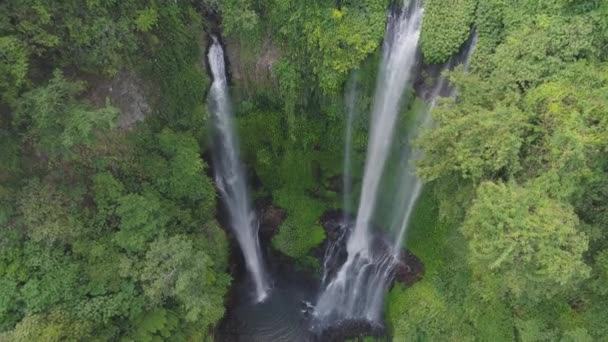 Piękny tropikalny wodospad Bali, Indonezja. — Wideo stockowe