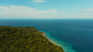 Hindistan cevizi ağaçları ve turkuaz lagün manzarası