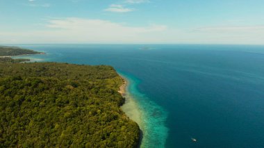 Hindistan cevizi ağaçları ve turkuaz lagün manzarası