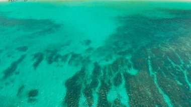 Mavi deniz ve mercan resifli tropikal manzara