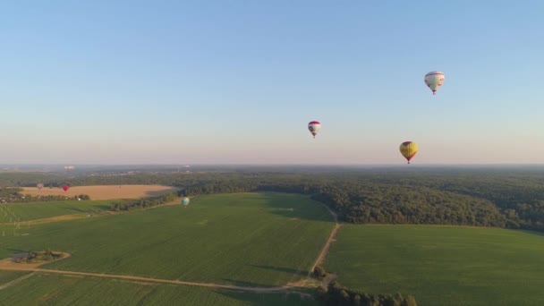Hot air balloons in sky — Stock Video