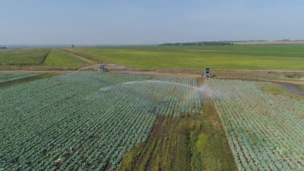 Irrigatiesysteem voor landbouwgrond. — Stockvideo