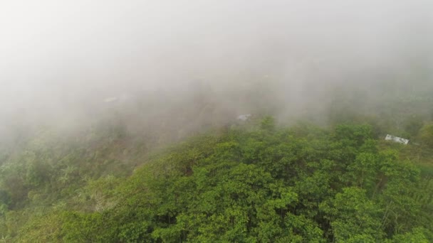 Zemědělská půda a vesnice Bali, Indonésie. — Stock video