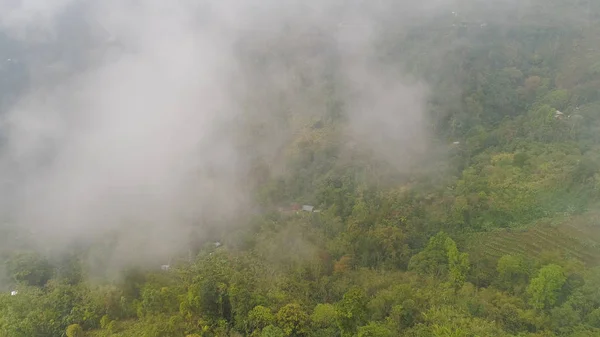 Terres agricoles et village Bali, Indonésie. — Photo