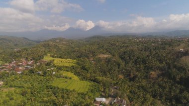 Endonezya 'da tarım arazisi olan tropikal araziler
