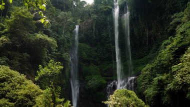 Güzel tropik şelale Bali, Endonezya.