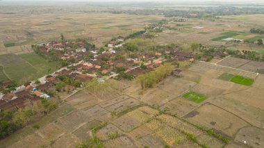 Endonezya 'da tarım arazisi.