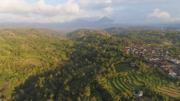 Tropical landscape with agricultural land in indonesia — Stock Photo, Image