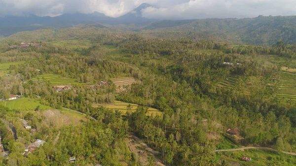 Tropiskt landskap med jordbruksmark i indonesien — Stockfoto