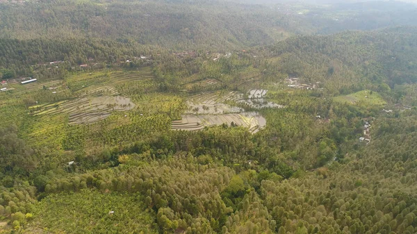 Paisaje tropical con tierras agrícolas en indonesia — Foto de Stock