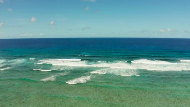 Olas estrellándose en un arrecife de coral. — Vídeo de stock