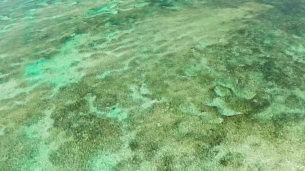 Eau de mer bleue transparente dans la lagune. — Video