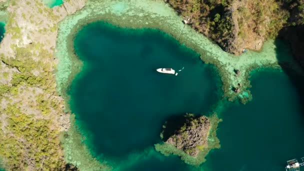Paysage marin avec lagunes et eau turquoise — Video
