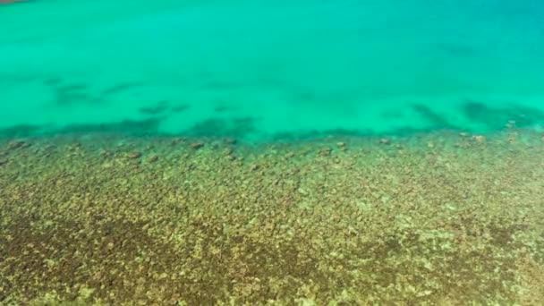 Bovenaanzicht van een schoon oceaanwater bij een kust — Stockvideo