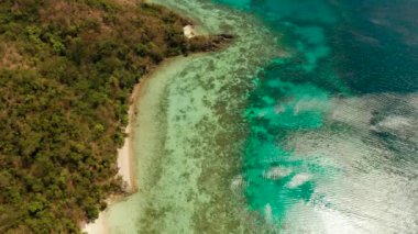 Kumlu plajlı tropik ada, Filipinler, Palawan