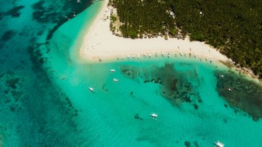 Kumlu plajı ve turistleri olan tropik Daco Adası.