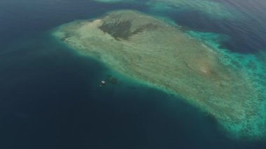 Denizdeki deniz manzaralı mercan resifi