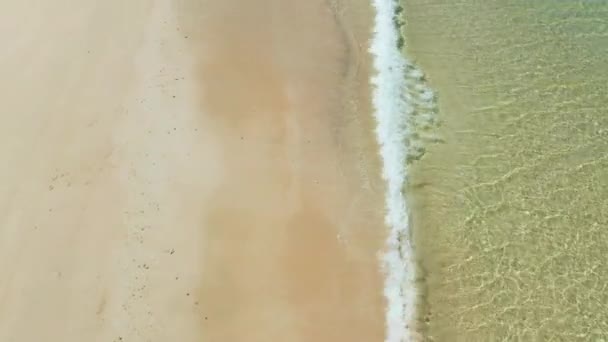 Ozean mit Wellen und gelbem Strand — Stockvideo