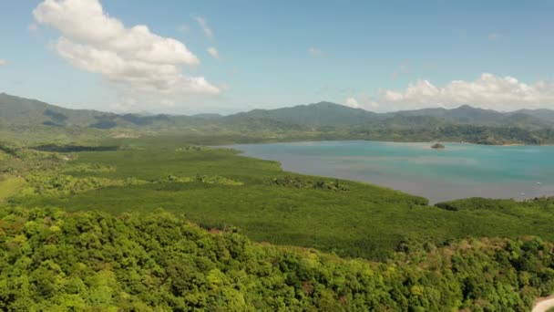 Tropikal orman ve dağlar, Palawan, Filipinler — Stok video