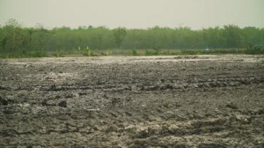 Çamur volkanı Kanlı Kuwu, Endonezya