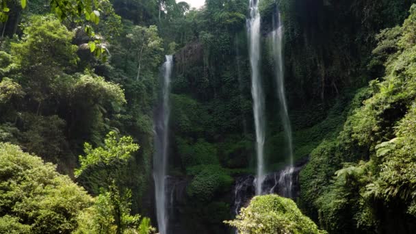 Bela cachoeira tropical Bali, Indonésia. — Vídeo de Stock