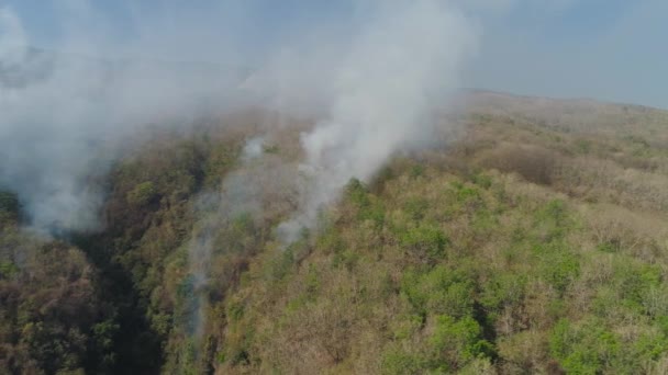 feu de forêt dans les montagnes