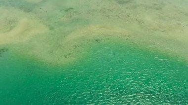 Mavi deniz ve mercan resifli tropikal manzara