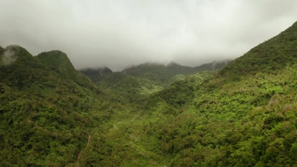 Dağlarla kaplı yağmur ormanları, Filipinler, Camiguin. — Stok video