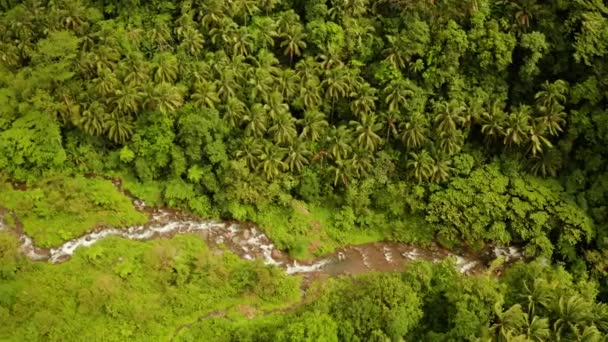 Flod som rinner i bergsdjungeln, Filippinerna, Camiguin. — Stockvideo